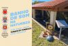 Banho de Som na Natureza