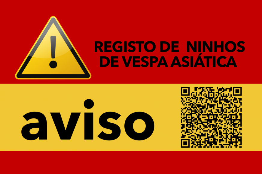  REGISTO DE NINHOS DE VESPA ASI&Aacute;TICA